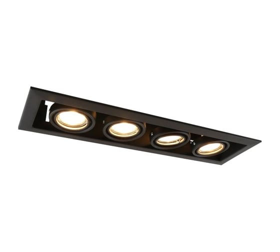Потолочный светильник Arte Lamp A5941PL-4BK 1