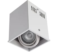 Потолочный светильник Arte Lamp A5942PL-1WH