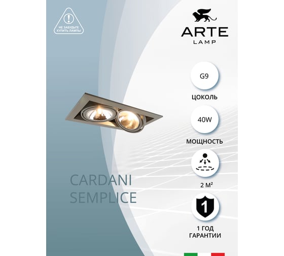 Потолочный светильник Arte Lamp A5949PL-2GY