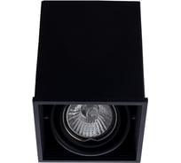 Потолочный светильник Arte Lamp A5942PL-1BK