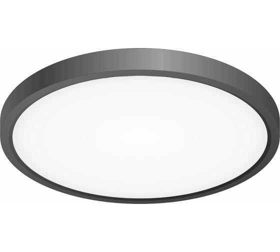 Накладной светильник Citilux Бейсик, черный LED 24WхМульти CL738241V