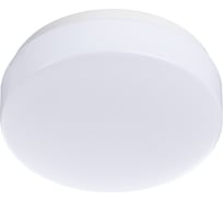 Потолочный светильник Arte Lamp A3106PL-1WH