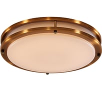 Накладной светильник Citilux Бостон, бронза LED 25Wх3000K CL709253