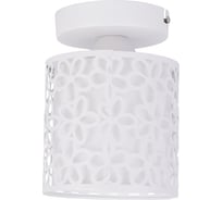 Потолочный светильник Arte Lamp A8349PL-1WH