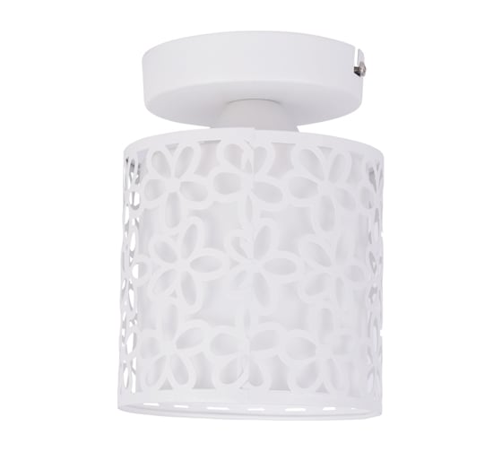 Потолочный светильник Arte Lamp A8349PL-1WH 1