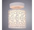 Потолочный светильник Arte Lamp A8349PL-1WH 3