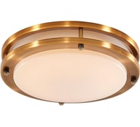 Накладной светильник Citilux Бостон, бронза LED 15Wх3000K CL709153
