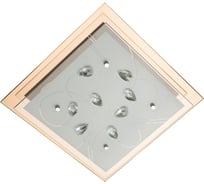 Потолочный светильник Arte Lamp A4042PL-2CC