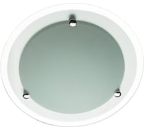 Потолочный светильник Arte Lamp A4831PL-2CC