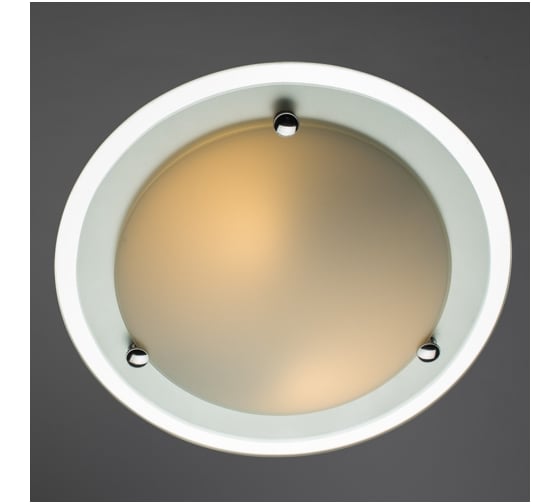 Потолочный светильник Arte Lamp A4831PL-2CC