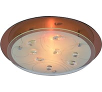 Потолочный светильник Arte Lamp A4043PL-2CC