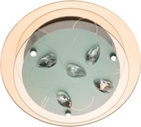 Потолочный светильник Arte Lamp A4043PL-1CC