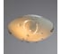 Потолочный светильник Arte Lamp A4040PL-2CC 3