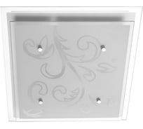 Потолочный светильник Arte Lamp A4866PL-2CC