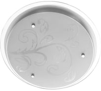 Потолочный светильник Arte Lamp A4865PL-2CC