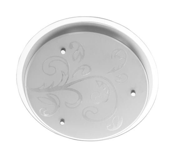 Потолочный светильник Arte Lamp A4865PL-2CC 1