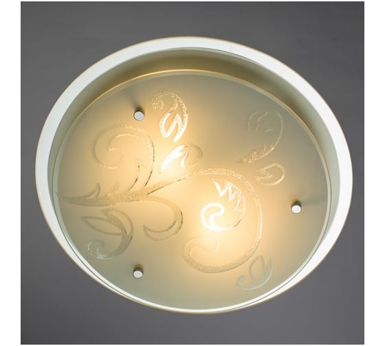 Потолочный светильник Arte Lamp A4865PL-2CC