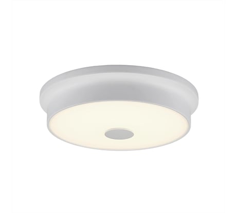 Настенно-потолочный светильник Citilux Фостер-2, белый CL706220