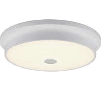 Настенно-потолочный светильник Citilux Фостер-2, белый CL706230