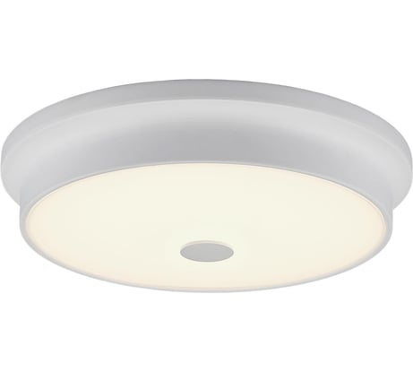 Настенно-потолочный светильник Citilux Фостер-2, белый CL706230