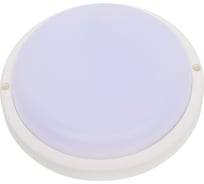 Светодиодный светильник SPARKLED STREET-R 15W IP65 6500K СПП2501 (6500К)