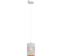 Светильник подвесной (подвес) Rivoli Renee 3142201 1 х Е27 60 Вт модерн Б0059277