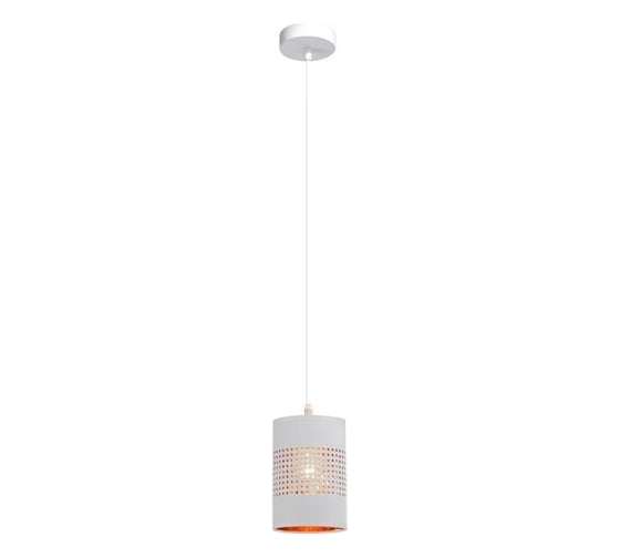 Светильник подвесной (подвес) Rivoli Renee 3142201 1 х Е27 60 Вт модерн Б0059277 1