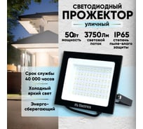 Уличный светодиодный прожектор IRS Electrics 50 вт, ip65, 6400 k, холодный белый свет, 3750 лм, 220-240в, 50 гц, корпус черный. переносной. ARD258847 FLYL01-50