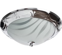 Потолочный светильник Arte Lamp A3008PL-2CC