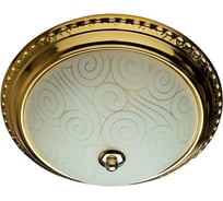 Потолочный светильник Arte Lamp A3013PL-2GO