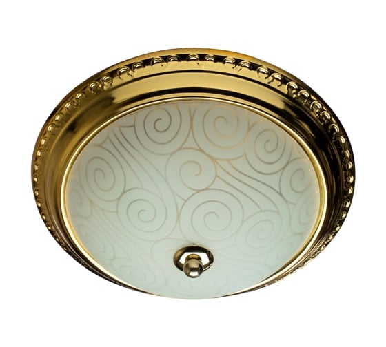 Потолочный светильник Arte Lamp A3013PL-2GO