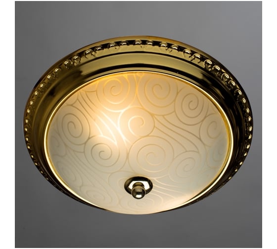 Потолочный светильник Arte Lamp A3013PL-2GO