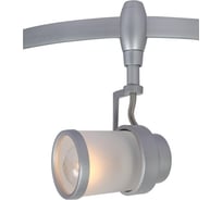 Потолочный светильник Arte Lamp A3056PL-1SI