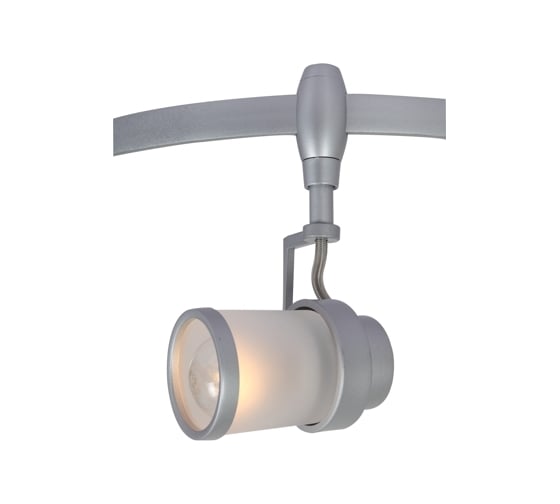 Потолочный светильник Arte Lamp A3056PL-1SI 1