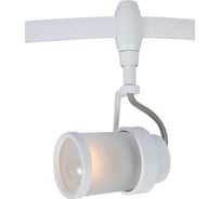 Потолочный светильник Arte Lamp A3056PL-1WH