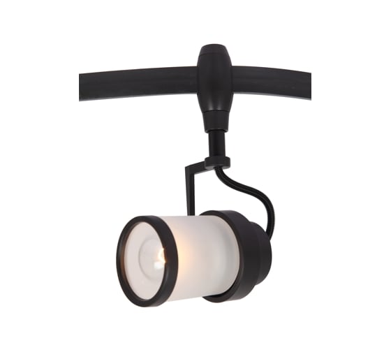 Потолочный светильник Arte Lamp A3056PL-1BK