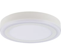 Потолочный светильник Arte Lamp A7824PL-2WH