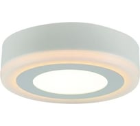 Потолочный светильник Arte Lamp A7809PL-2WH