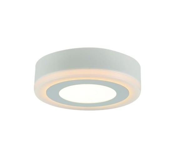 Потолочный светильник Arte Lamp A7809PL-2WH