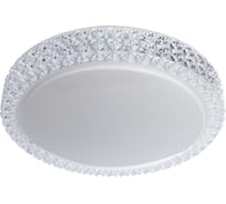 Потолочный светильник Arte Lamp A1569PL-1CL