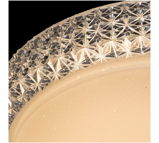 Потолочный светильник Arte Lamp A1569PL-1CL