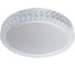 Потолочный светильник Arte Lamp A1569PL-1CL 1