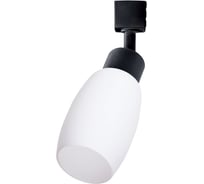 Потолочный светильник Arte Lamp A3055PL-1BK