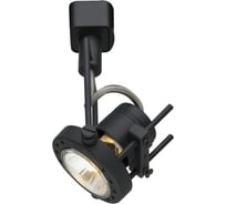 Потолочный светильник Arte Lamp A4300PL-1BK
