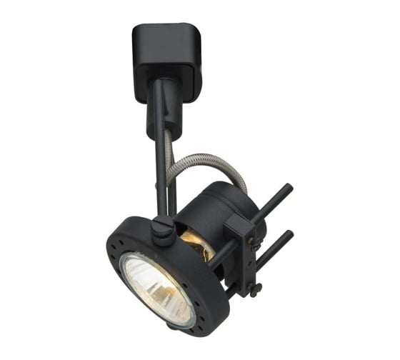 Потолочный светильник Arte Lamp A4300PL-1BK