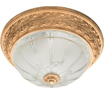 Потолочный светильник Arte Lamp A8014PL-2WA