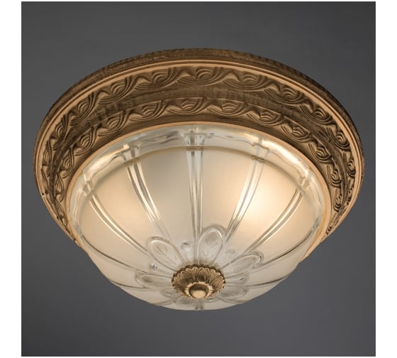 Потолочный светильник Arte Lamp A8014PL-2WA