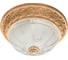 Потолочный светильник Arte Lamp A8014PL-2WA 1