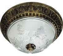 Потолочный светильник Arte Lamp A8005PL-2BN