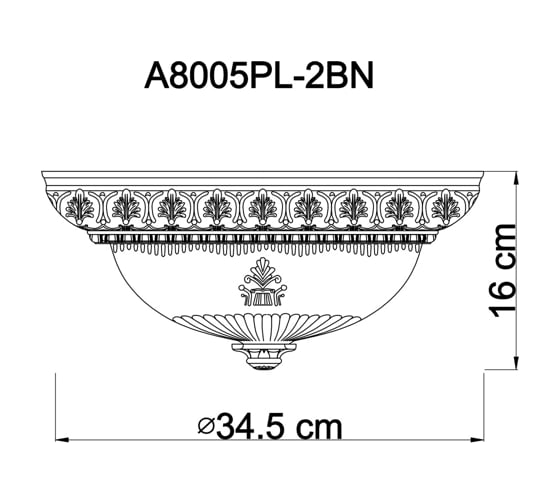 Потолочный светильник Arte Lamp A8005PL-2BN